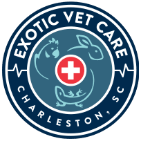 Exotic Vet Care Charleston