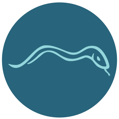 Snake Circle Icon