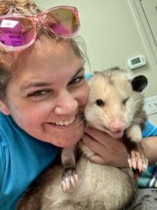 Hero Blood Donor Possum