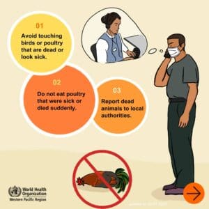 Stay safe from bird flu: avoid touching sick or dead birds. Do not eat poultry that were sick or died suddenly. Report dead animals to local authorities.