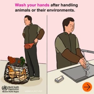 Wash your hands with soap and hot water after handling animals or their environments.