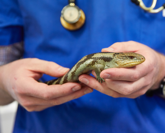 Emergency Care