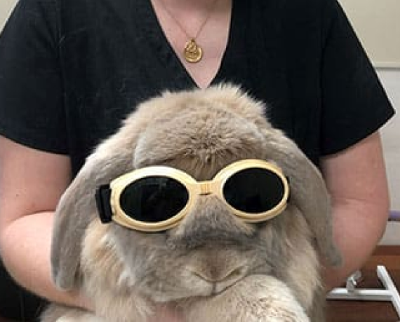 Laser Therapy